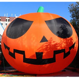 Pumpkin 24