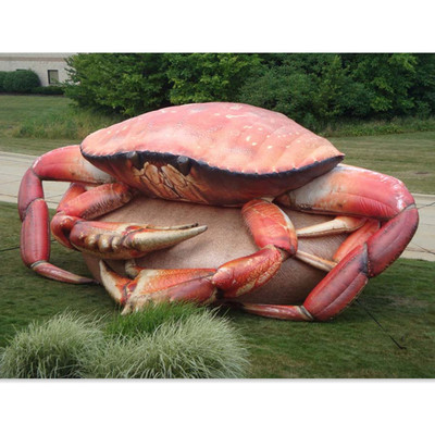 Crab 202