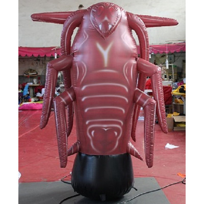 Cockroach 62