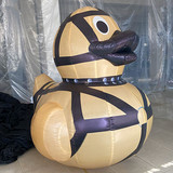 Duck 10