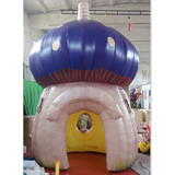 Mushroom 12
