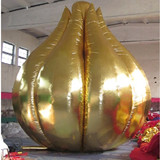 Garlic 27