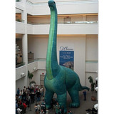 Dinosaur 14