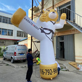 Cat 26