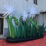 Ground Flower 14