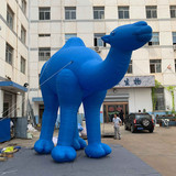 Camel 16