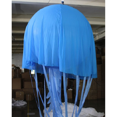 Jellyfish 14