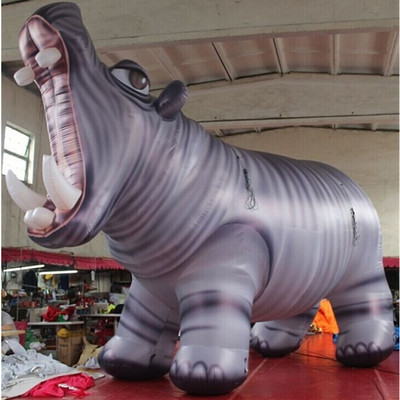 Hippo 09