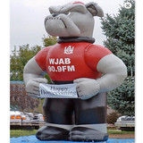 Bulldog 19