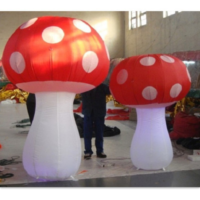 Mushroom 02