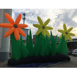 Ground Flower 15