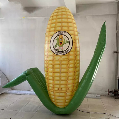 Corn 30