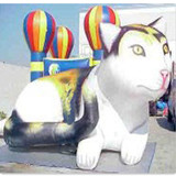 Cat 14