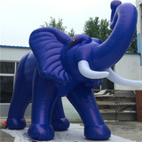 Elephant 31