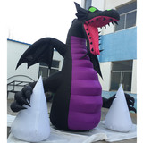 Dragon 21