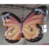 Butterfly 06