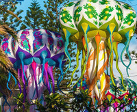 Jellyfish 01