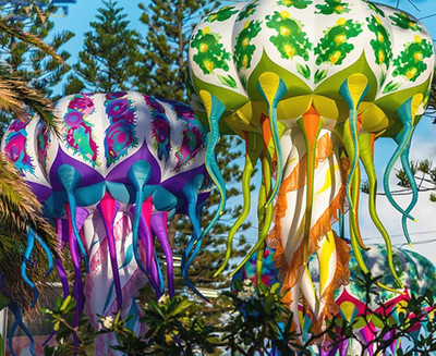 Jellyfish 01