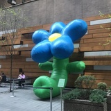 Ground Flower 09