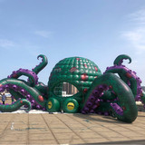 Octopus 301