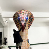 Cobra 05
