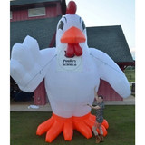 Rooster 03