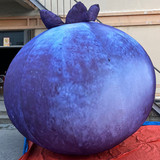 Blueberry 15