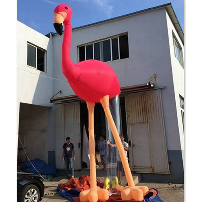 Flamingo 08