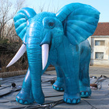 Elephant 30