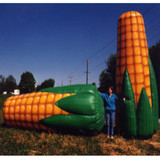 Corn 33