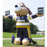 Dog 14