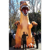 Dinosaur 16