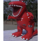 Crocodile 04