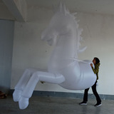 Horse Costume 07