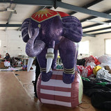 Elephant 21