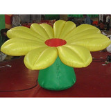 Ground Flower 37