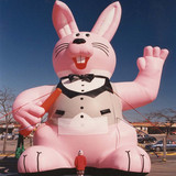 Rabbit 19
