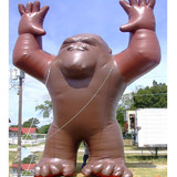 Gorilla 01