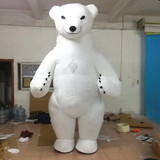 Bear 21