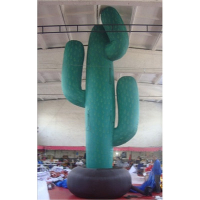 Cactus 02