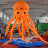 Jellyfish 08