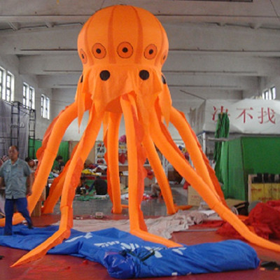 Jellyfish 08