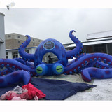 Octopus 174