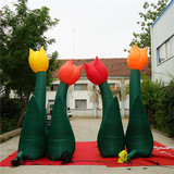 Ground Flower 12
