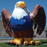 Eagle 16