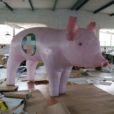 Pig 09