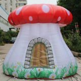 Mushroom 03