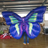 Butterfly 02