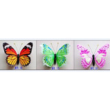 Butterfly 16