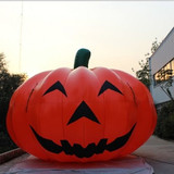 Pumpkin 23